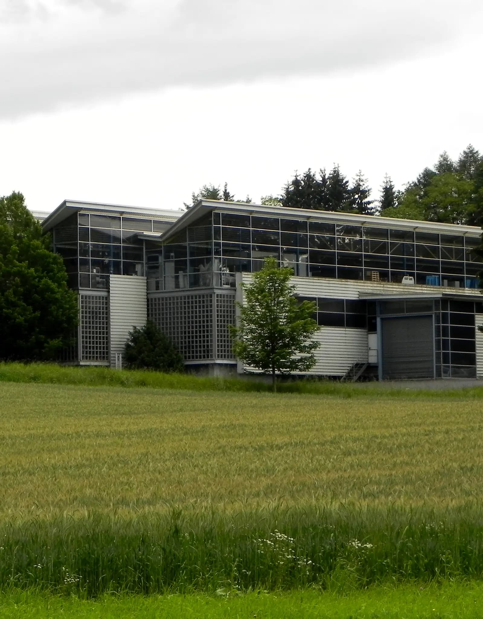 Das PAVOY-Werk in Hillesheim von außen: eine langgestreckte Halle mit durchlaufender Glasfront, davor ein Getreidefeld